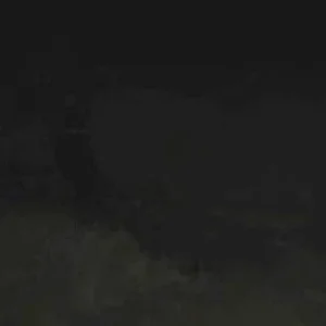 I landed....on my wiener