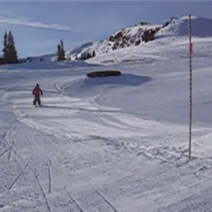 5050 on the Bleecher Box