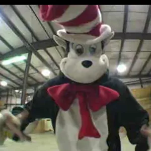 cat in the hat continues to kill it