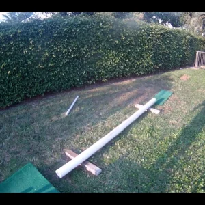 All 8 on the backyard setup