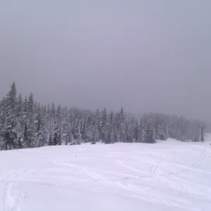 June Powder