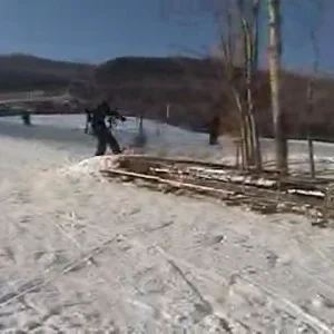 Picnic Table 540 "qhurlybird"