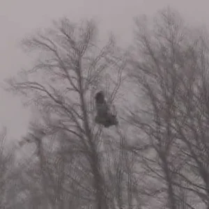 Axis slopestyle last 2 big airs