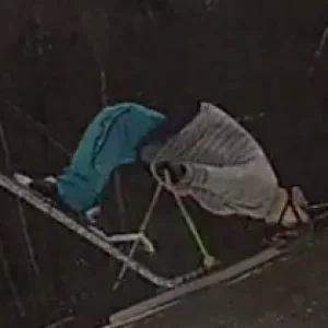 weee