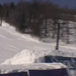 Paul Bergeron part sick