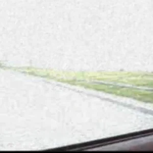 tramp and looking out the car window