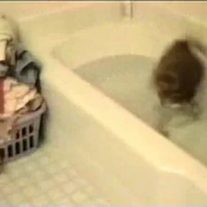 ill crashes! watch this! it made me laugh all the way trough