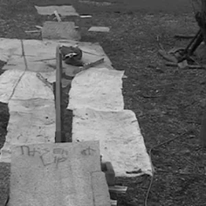 Backyard Rail Session