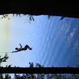 30 ft rope swing