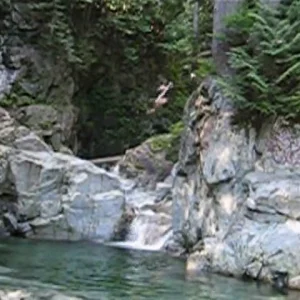 misty/ flat 5 off 25 footer