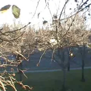 Harder, Better, Faster, Stronger!