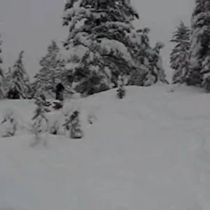 not bad bails backflips