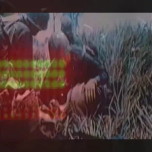 From Levi to the streets