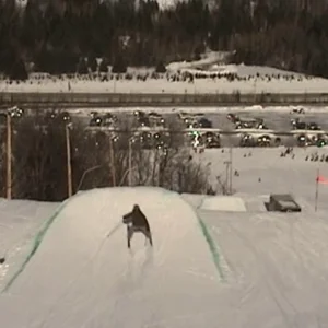 jump session at Mt- Avila