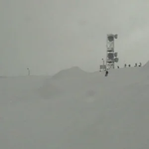 Two corked 7s at bogus