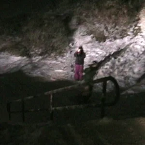 Rail Garden Midnight Sesh