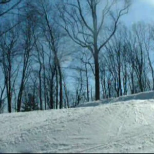 small Bear Creek session