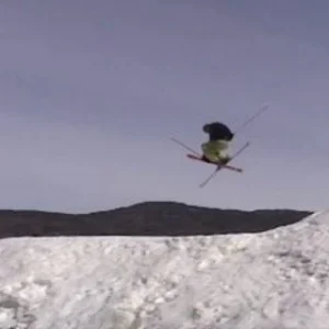 Mute at Smugglers Notch, VT. (Taken from a video)