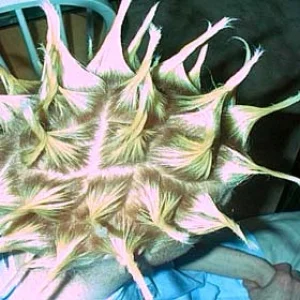 Check my hair yo