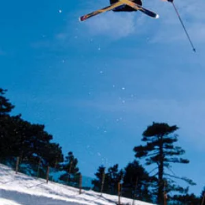 Snow Summit