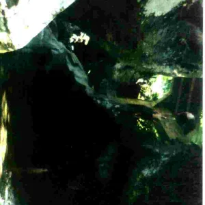 water cliff jumping..30 footer or so