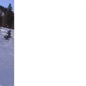 aLTA uTAH
