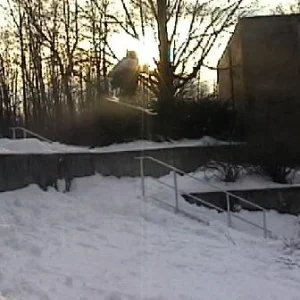 disaster 9 set handrail