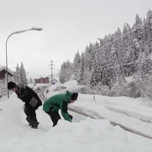 Orage Swiss Vacation Part 3 - A Coop-erative Effort