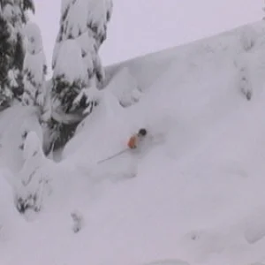 tell me where you get it