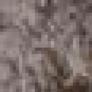 Charlie on the Urban jib