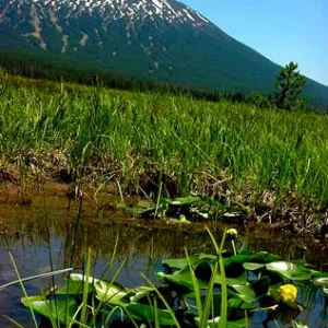 Mt. Bachelor - pond vs. mountain
