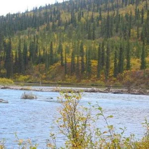 On the bank of Wells Creek