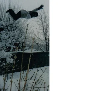 jumping off the play house in my back yard