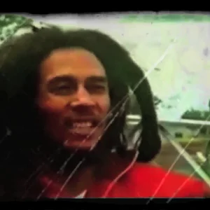 TallTreez Movie 2012 'We Shall Overcome'