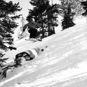 Tree jump at loveland
