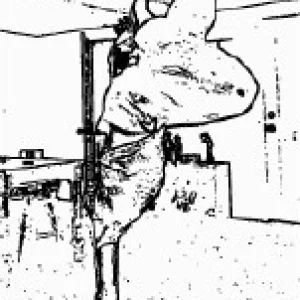 one handed handstand with cool effex