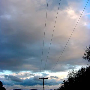 Telephone Pole