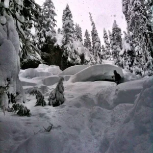 What did you do today?