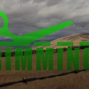 Trimmings: Episode 1