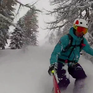 Deep Powder Treeskiing