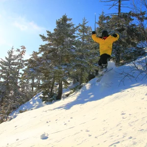 Killing it in the east