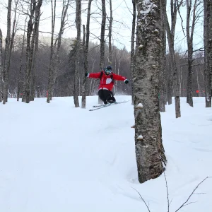 Big Shifty in the Woods