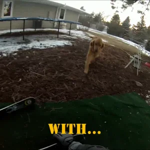 Backyard Skiing Setup