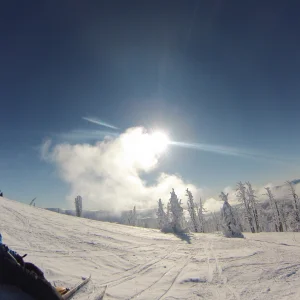 Brundage Bluebird