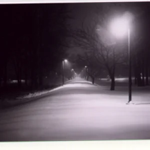 snowy park at night