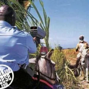 If i catch you speeding.........