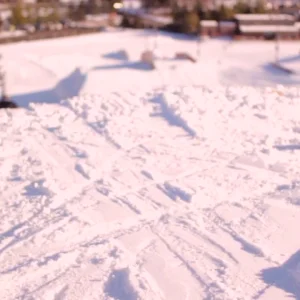 Sunny Days at Hyland