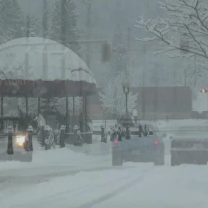 Cyril Reygnier // Self Edit 2012