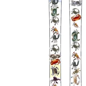 i don't know if this has been done before, but here it is