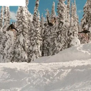 flip in the park, little sequence
